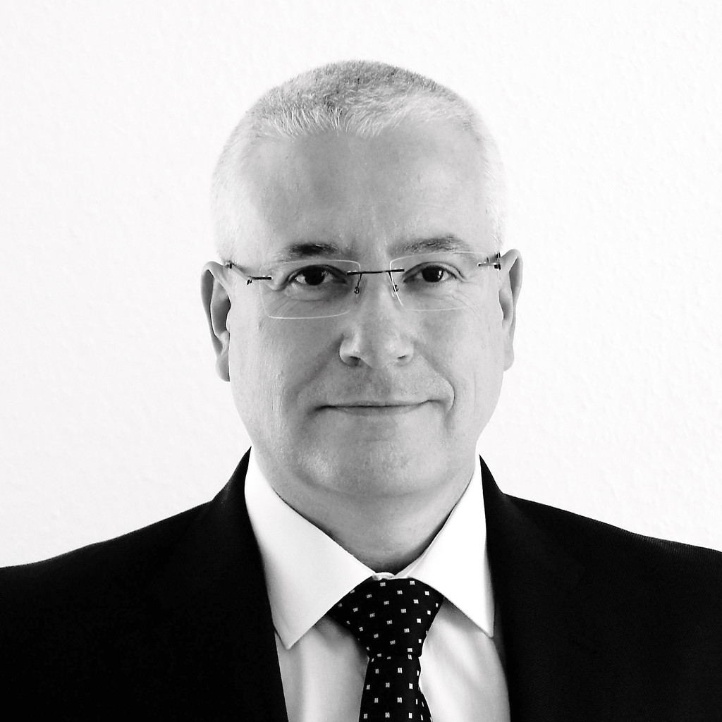 Jose Luis Pineda Chief Commercial Officer CCO PUERTAS VALES XING