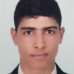 Hamza Raougui