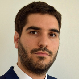 Dr. Ramin Dahbashi