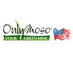 Only Moso