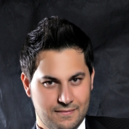 Ing. Ali el Zein