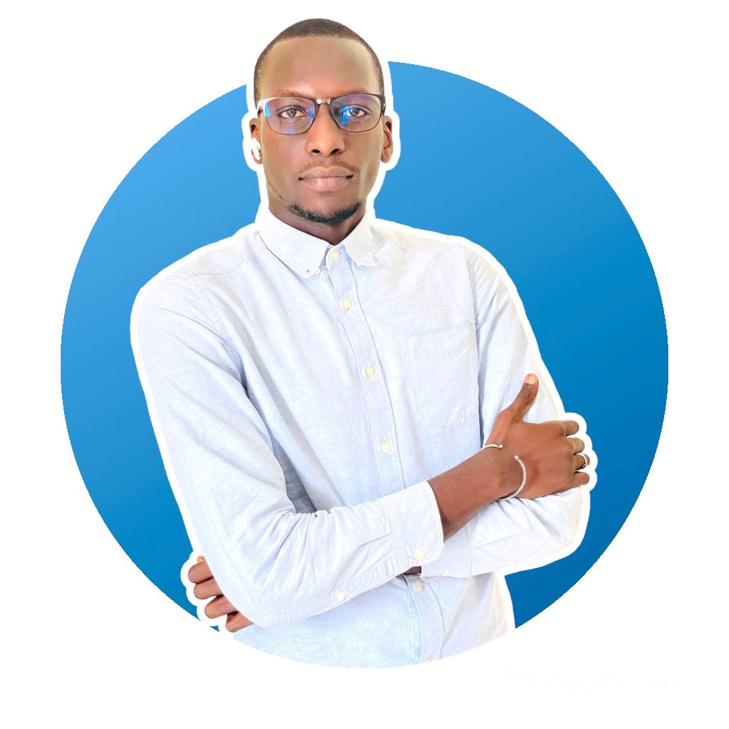 Mohamed Lamine Fall - Fullstack Developer - Finetech Groupe | XING