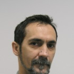Miodrag Ristic