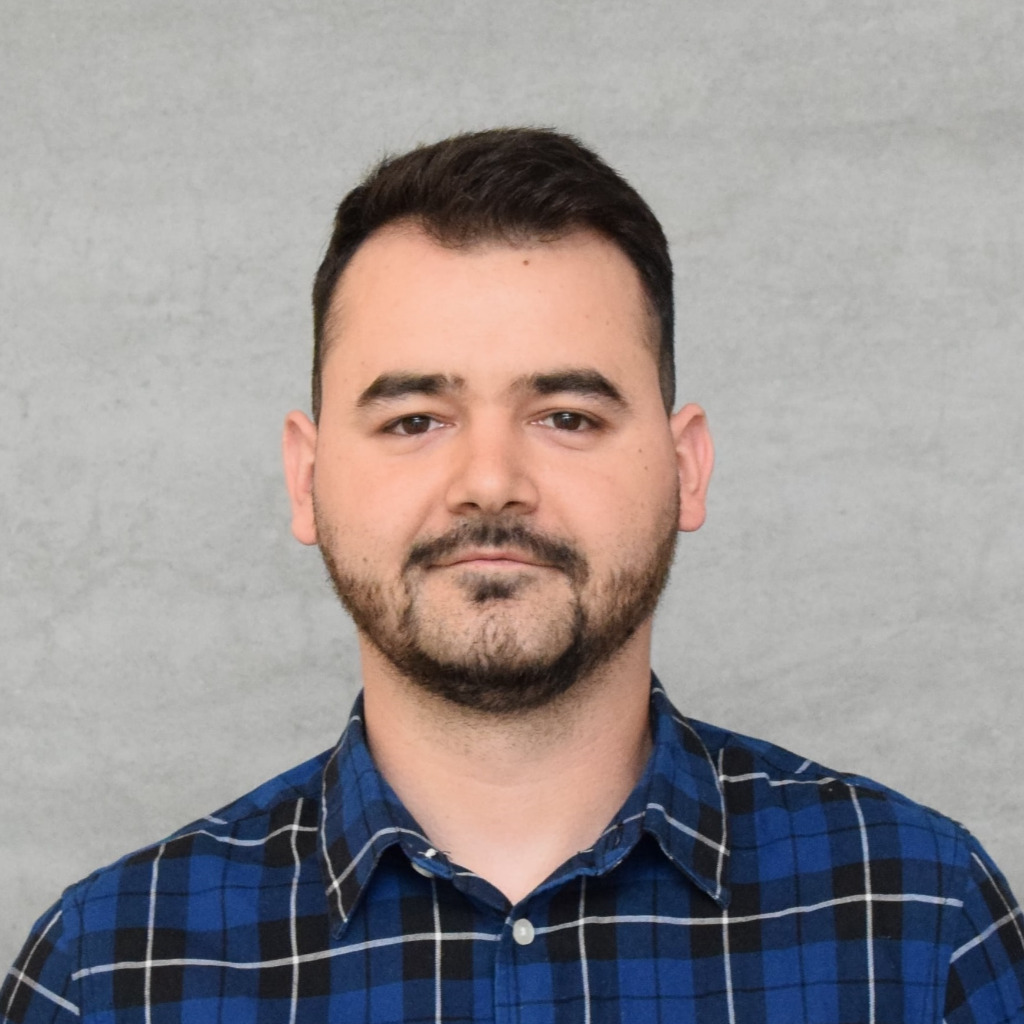 Adrian barcan software test engineer eeins gmbh experten f r