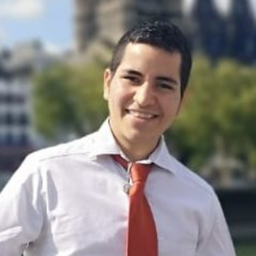 Pablo  Rosales R.