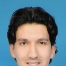 Erman Temel