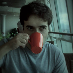 Carlos Castilho