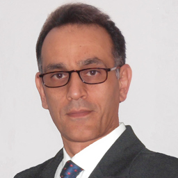 Mohammad Mehdi Ronagh Nikghalb