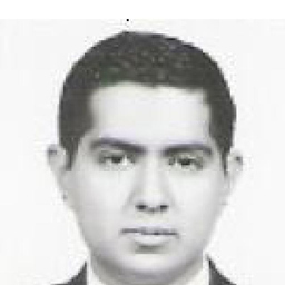 Miguel Angel González Flores