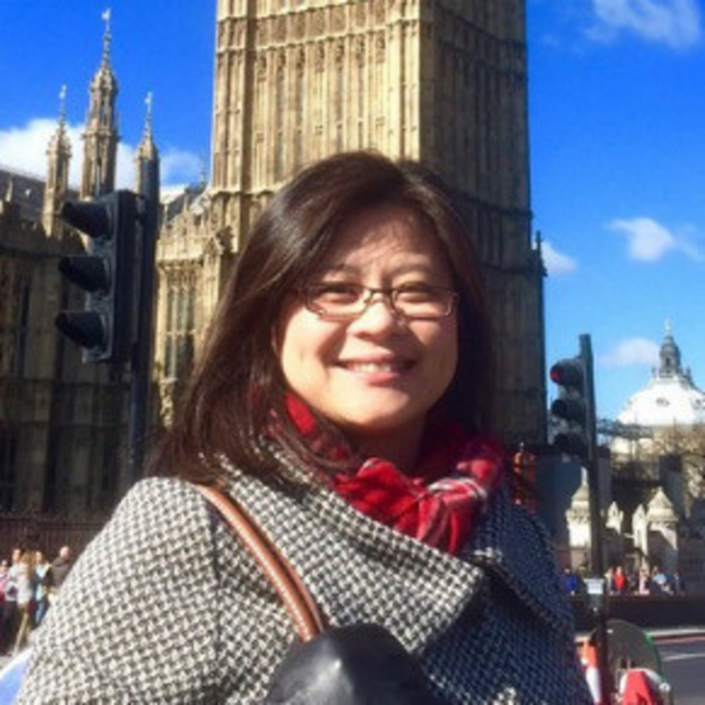 lucy-chen-sales-manager-delta-energy-systems-gmbh-xing