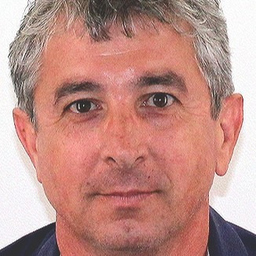 NICOLAE SANDRU
