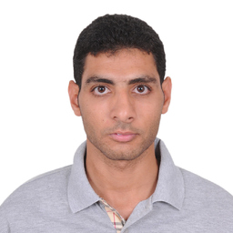 Ing. Abanoub Shehata
