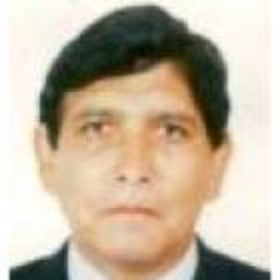 Raúl Paredes Fernández