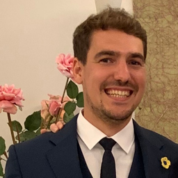 Dominik Beer
