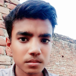 Vishal Meena phagi