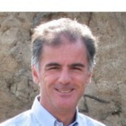 ANDREA VINCENZI