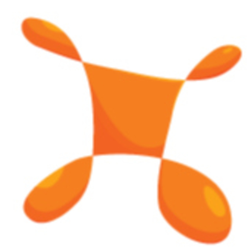 Brac Net Manager Bracnet XING brac-net-manager-bracnet-xing