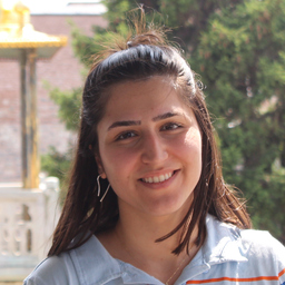 Elif Alsan Mor