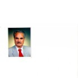 Dr. Mehdi Shafaeddin