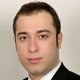 mohammadhadi rafiee
