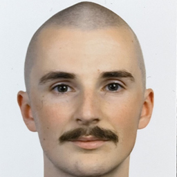 Louis Till Friesen