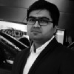 Ing. Ujjwal Kumar