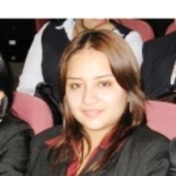 Karen Liliana Jimenez Ruiz