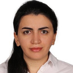 Elham Abasgholizadeh