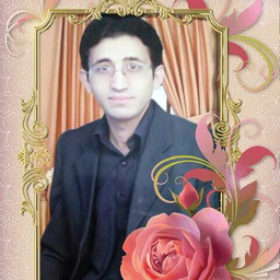 Muhamma Aamir Rasheed