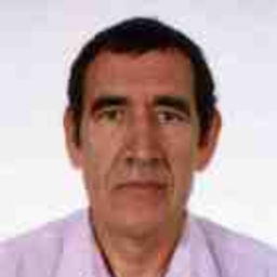 Jorge Pastor Figueroa