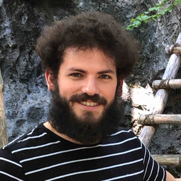 Michel Franceschino