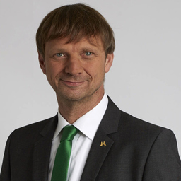 Ingo Krah