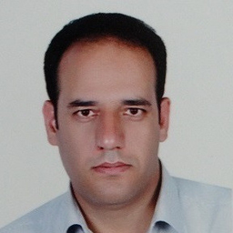 majid gorji