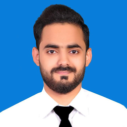 Muhammad Hamza Riaz