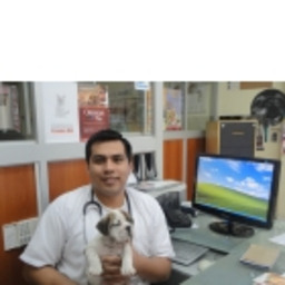 David Esteban Chuquipoma Guevara