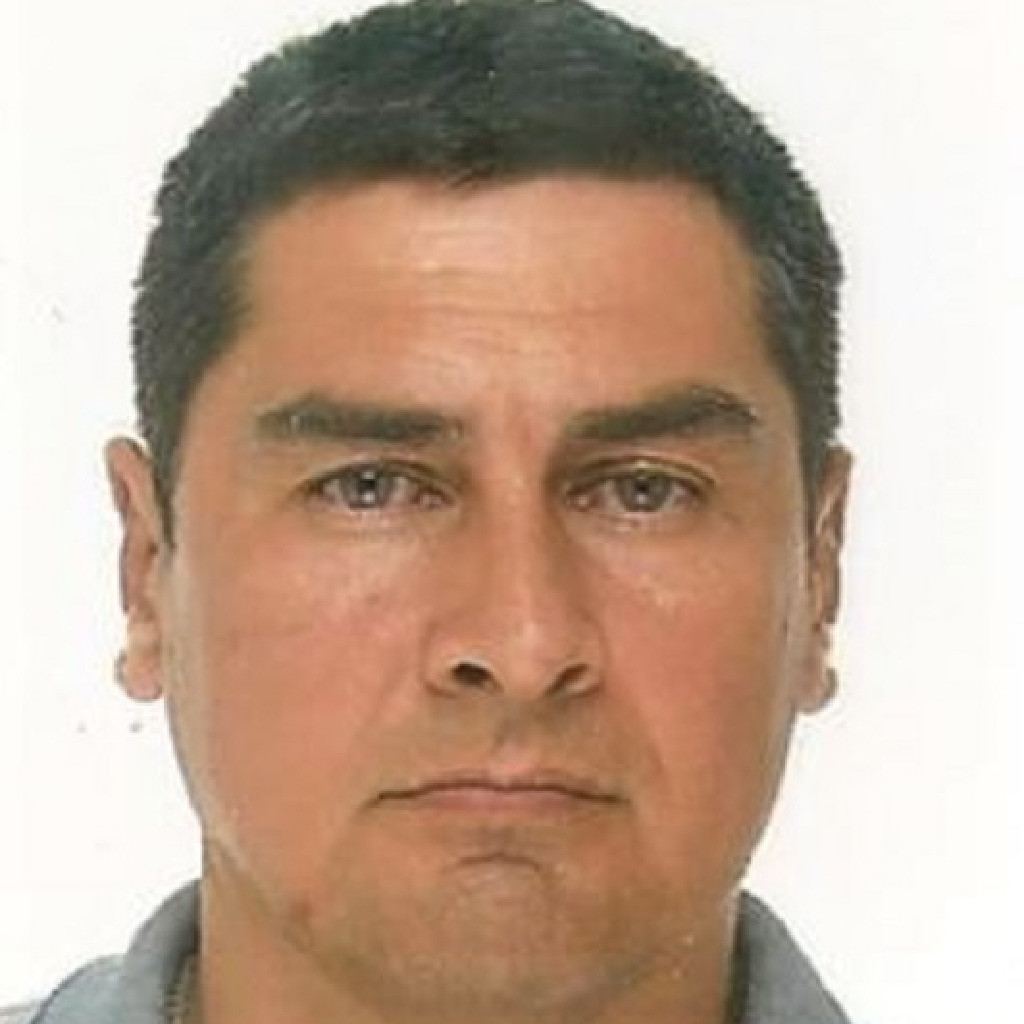 Oleksandr Kryvenko ABAP Entwickler White Sheep GmbH XING