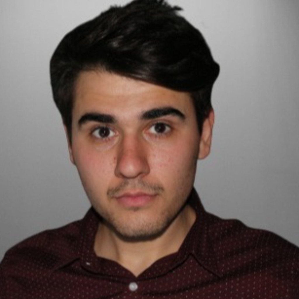 Alexandru Constantin Projektsteuerer Dr.Coskun Consulting XING