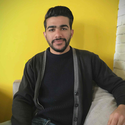 Ing. Maalaoui Fares