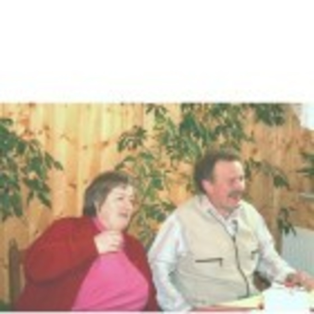 Christine Pietzner Partner SFI XING