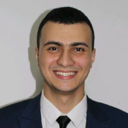 Ali Sleem