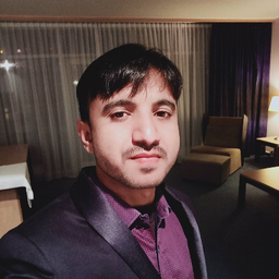 Arnav Wani