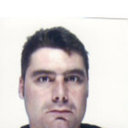 Francisco Javier Garcia Mansilla