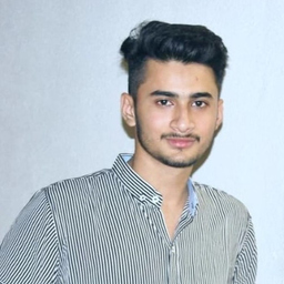 ali hamza