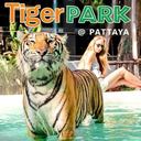 Tiger Park Pattaya