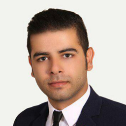 Ing. Seyedmohammad Razavisani