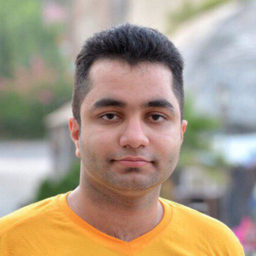 Seyed Amirhossein Adhami Mirhosseini