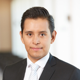 Francisco Flores Gomez