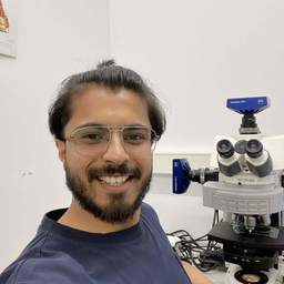 Usama Usama