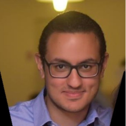 Ashraf Elmiligy