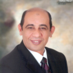 Mohamed El Sawy